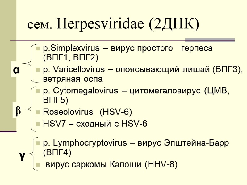 сем. Herpesviridae (2ДНК) р.Simplexvirus – вирус простого   герпеса    